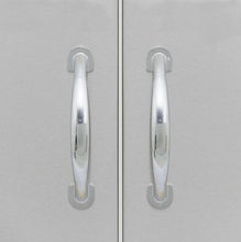 Load image into Gallery viewer, Blaze 25-Inch Stainless Steel Double Access Door - Model #BLZ-AD25-R-SC