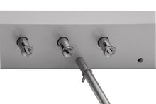 Load image into Gallery viewer, KabobMaster 31″ Automatic Rotisserie, For Restaurant Use NSF Approved