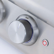 Load image into Gallery viewer, Blaze LTE+ Built-In Natural Gas Double Side Burner - BLZ-SB2-LTEPLUS NG/LP
